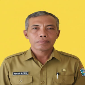 AINUR ROFIK